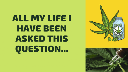 All my life I have been asked this questionâŠ