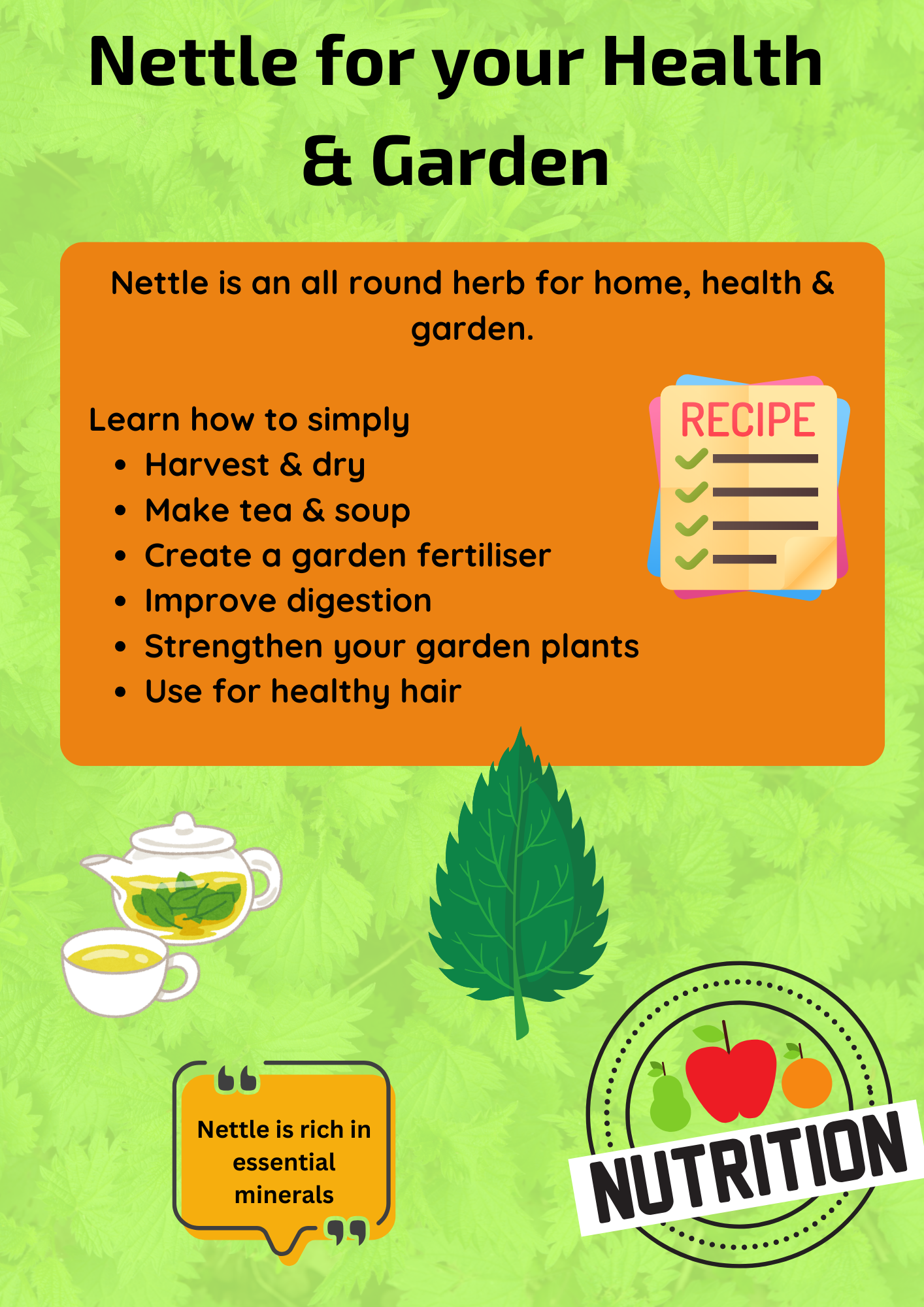 Nettle Infographic - How to easily use Nettle in your home and garden