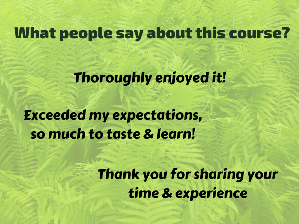 ๐ต Herbal Teas for Modern Times Digital Course: Discover the Power of Nature in a Cup!