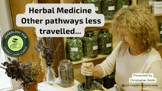 Christopher Smith herbalist and speaker presenting to Switched on Health students about medicinal herbs and pathways into plant medicine - Herbology Hub founder