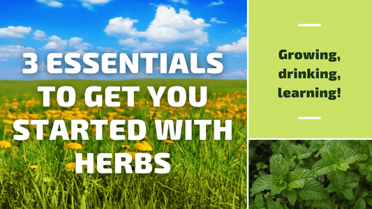 3 essentials to get you started with herbs