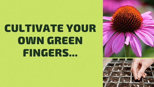 Cultivate your own green fingers