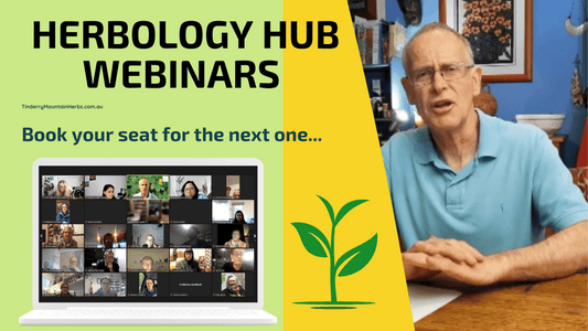 🌱Herbology Hub🌱 Monthly In- Depth Webinar