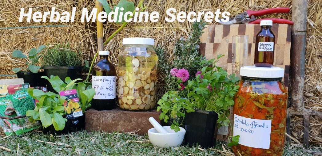 Herbal Medicne secrets is an online course for anyone interested in learning more about medicinal herbs. Covering 10 different herbs ad showing you how to use them safely & effectively for your health.